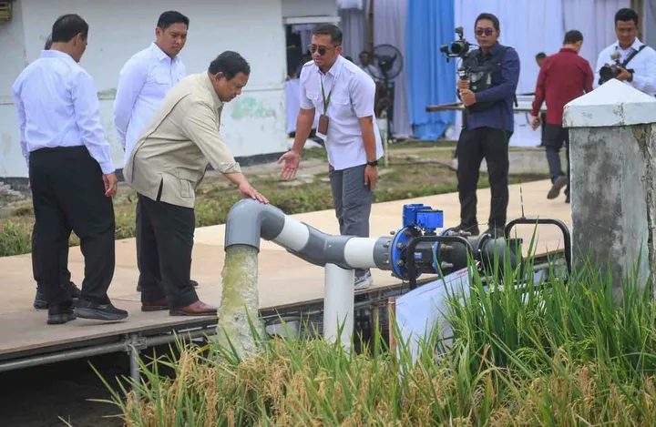 RI Resmi Swasembada Pangan, Setop Impor Beras Sejak 2025