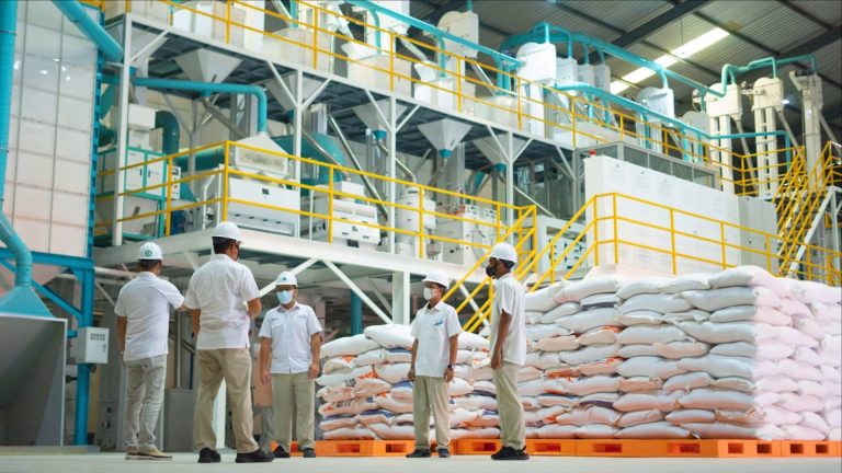 Pemerintah dan Bulog Cetak Rekor 5,4 Juta Ton, Impor Beras Disetop