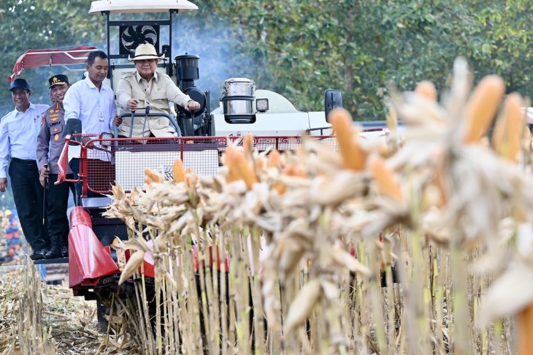 Pemerintah Cetak Swasembada 8 Komoditas Pangan Sekaligus