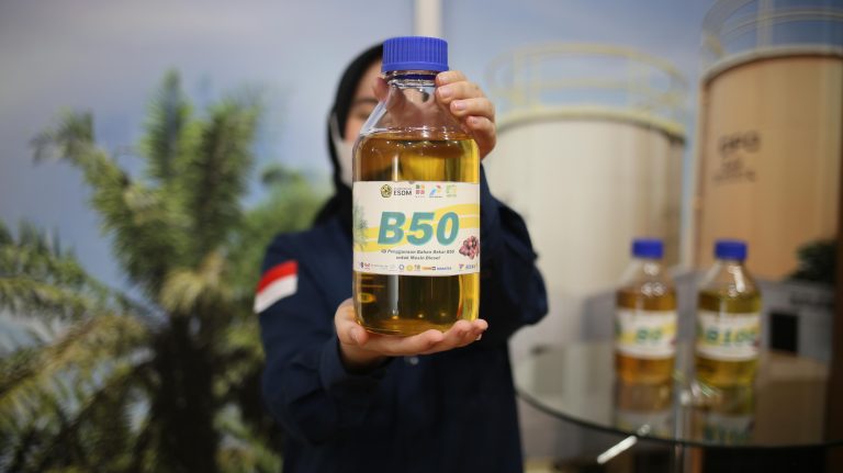 Pemerintah Sulap Separuh Tangki Solar RI Jadi Sawit, Pertama Dunia